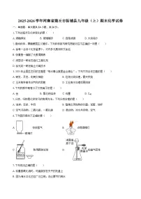 2025-2026学年河南省商丘市柘城县九年级（上）期末化学试卷-自定义类型
