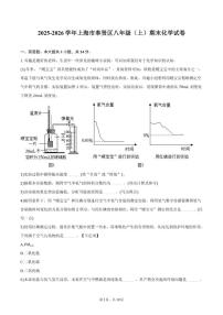 2025-2026学年上海市奉贤区八年级（上）期末化学试卷（含答案）