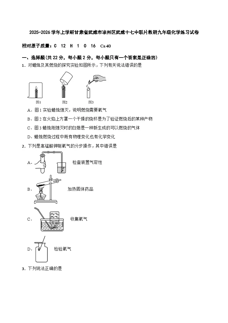 2025-2026学年上学期甘肃省武威市凉州区武威十七中联片教研九年级化学练习试卷第1页