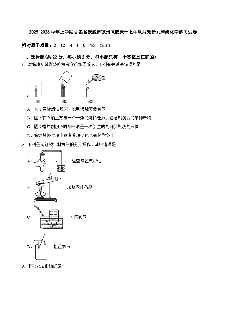 2025-2026学年上学期甘肃省武威市凉州区武威十七中联片教研九年级化学练习试卷第1页