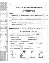 陕西省咸阳市兴平市2025-2026学年九年级上学期1月期末化学试题