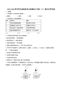 2025-2026学年河北省秦皇岛市昌黎县九年级（上）期末化学试卷（含答案）