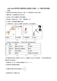 2025-2026学年四川省资阳市安岳县九年级(上)期末化学试卷(含答案)