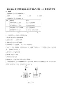 2025-2026学年河北省秦皇岛市昌黎县九年级（上）期末化学试卷（含答案）