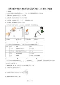 2025-2026学年四川省资阳市安岳县九年级(上)期末化学试卷(含答案)