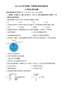 广东省潮州市潮安区九年级上学期期末统考化学试题（原卷版）-A4