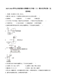 2025-2026学年山东省烟台市栖霞市九年级（上）期末化学试卷（五四学制）-自定义类型