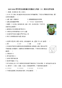 2025-2026学年河北省承德市兴隆县九年级（上）期末化学试卷-自定义类型