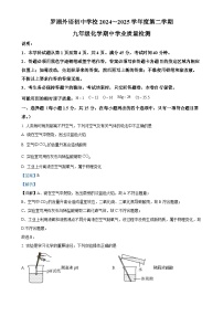 广东省深圳市罗湖外语学校初中学校九年级下学期期中化学试题（解析版）-A4