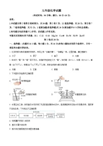 山东省青岛市崂山区2025-2026学年九年级上学期期末考试化学试卷(原卷版+解析版)