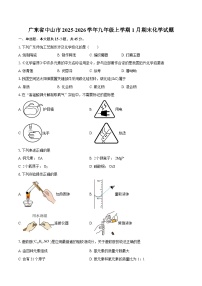 广东省中山市2025-2026学年九年级上学期1月期末化学试题-自定义类型
