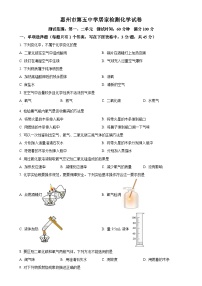 广东省惠州市惠城区惠州市第五中学2022-2023学年九年级上学期10月考化学试题（原卷版）-A4
