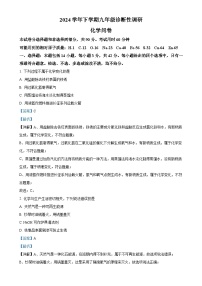 广东省广州市越秀区华侨外国语学校九年级下学期期中化学试题（解析版）-A4