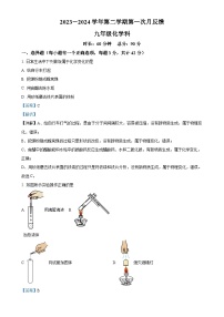广东省广州市实验外语学校九年级下学期化学第一次月考卷(解析版)-A4