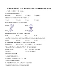 广东省汕头市澄海区2025-2026学年九年级上学期期末考试化学试卷-普通用卷
