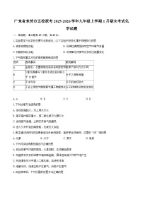 广东省东莞市五校联考2025-2026学年九年级上学期1月期末考试化学试题-普通用卷