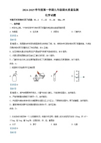 广东省梅州市平远县九年级上学期期末化学试题（解析版）-A4