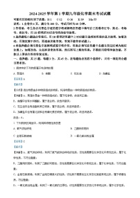 广东省梅州市梅县区九年级上学期期末化学试题（解析版）-A4