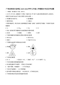 广东省珠海市金湾区2025-2026学年九年级上学期期末考试化学试题-普通用卷