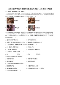 2025-2026学年四川省绵阳市盐亭县九年级（上）期末化学试卷-自定义类型