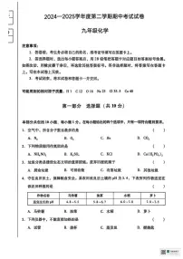 甘肃省武威市凉州区新华镇九年制学校2024-2025学年九年级下学期期中考试化学试卷