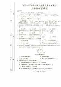 河南省驻马店市平舆县2025-2026学年九年级上学期2月期末考试化学试题
