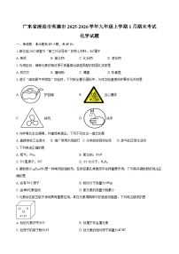 广东省清远市英德市2025-2026学年九年级上学期1月期末考试化学（含答案）