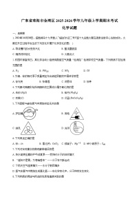 广东省珠海市金湾区2025-2026学年九年级上学期期末考试化学试卷(含答案)