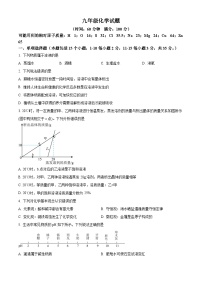 山东省淄博市沂源县2025-2026学年九年级上学期1月期末考试化学试题（原卷+解析）