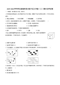2025-2026学年河北省秦皇岛市抚宁区九年级（上）期末化学试卷-自定义类型