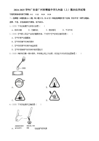 广东省广州市增城中学九年级上学期期末考试化学试卷-A4
