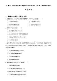 广东省广州市铁一集团学校九年级下学期开学模拟化学试卷-A4