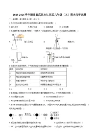 2025-2026学年湖北省武汉市江汉区九年级(上)期末化学试卷(含答案)