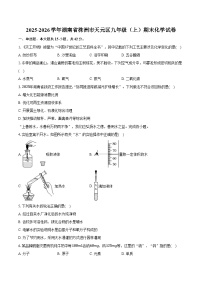 2025-2026学年湖南省株洲市天元区九年级（上）期末化学试卷（含答案）