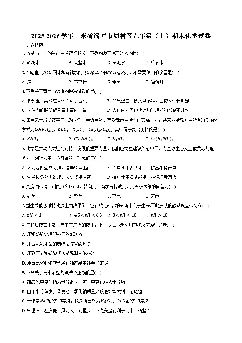 2025-2026学年山东省淄博市周村区九年级(上)期末化学试卷(含答案)第1页