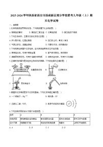 2025-2026学年陕西省西安市西咸新区部分学校联考九年级（上）期末化学试卷（含答案）