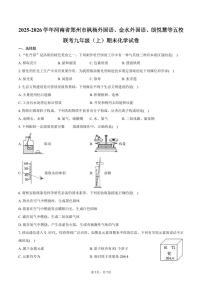 2025-2026学年河南省郑州市枫杨外国语、金水外国语、朗悦慧等五校联考九年级（上）期末化学试卷（含答案）