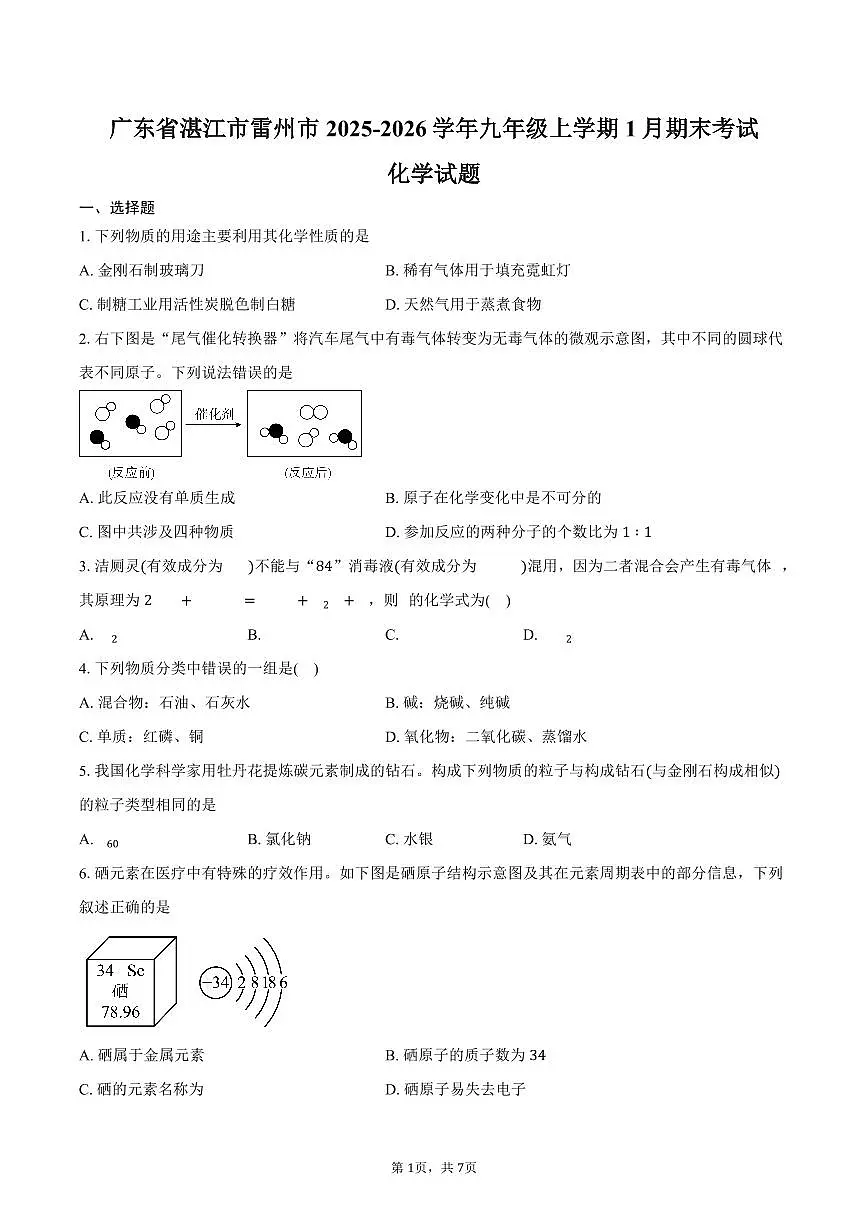 广东省湛江市雷州市2025-2026学年九年级上学期1月期末考试化学试卷(含答案)第1页