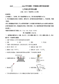 山东省东营市利津县2025-2026学年上学期期末考试九年级化学试题（原卷+解析）