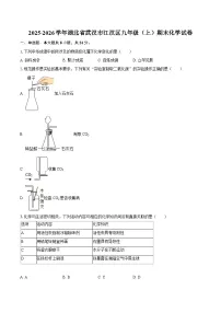 2025-2026学年湖北省武汉市江汉区九年级(上)期末化学试卷-自定义类型