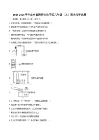 2025-2026学年山东省潍坊市坊子区八年级(上)期末化学试卷(含答案+解析)