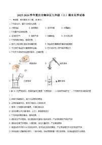 2025-2026学年重庆市南岸区九年级（上）期末化学试卷（含答案+解析）