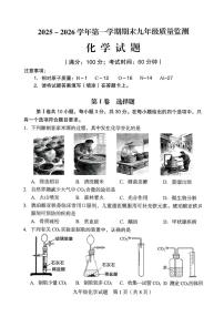 福建龙岩市新罗区2025-2026学年九年级上学期2月期末考试化学试题