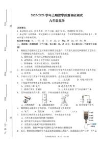 河南省鹤壁市2025-2026学年九年级上学期期末考试化学试卷