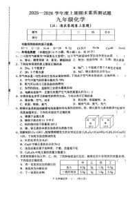 河南省驻马店市汝南县2025-2026学年九年级上学期2月期末素质教育测试化学试题