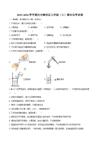 2025-2026学年重庆市南岸区九年级（上）期末化学试卷-自定义类型