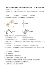 2025-2026学年湖南省长沙市明德集团九年级（上）期末化学试卷-自定义类型