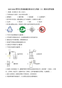 2025-2026学年江苏省盐城市东台市九年级（上）期末化学试卷（含答案）