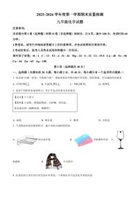 山东省泰安市东平县2025-2026学年九年级上学期期末考试化学试题（原卷+解析）