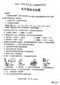 山东省泰安市肥城市2025-2026学年九年级上学期1月期末考试化学试题